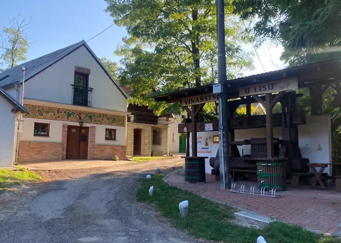 Wbs Vinarstvi U Lisu 6345 * Znojmo