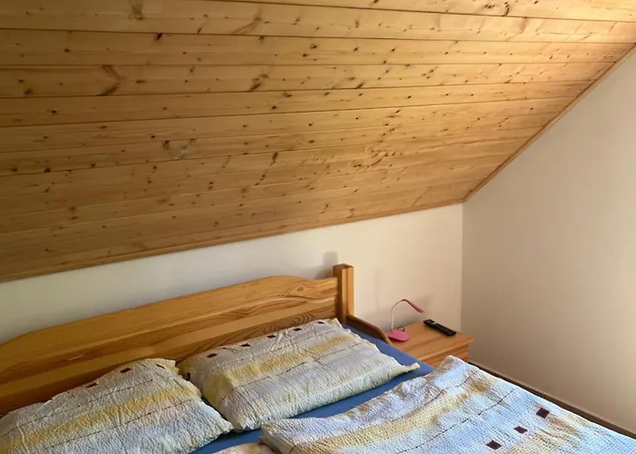 Wbs Vinarstvi U Lisu 6345 *